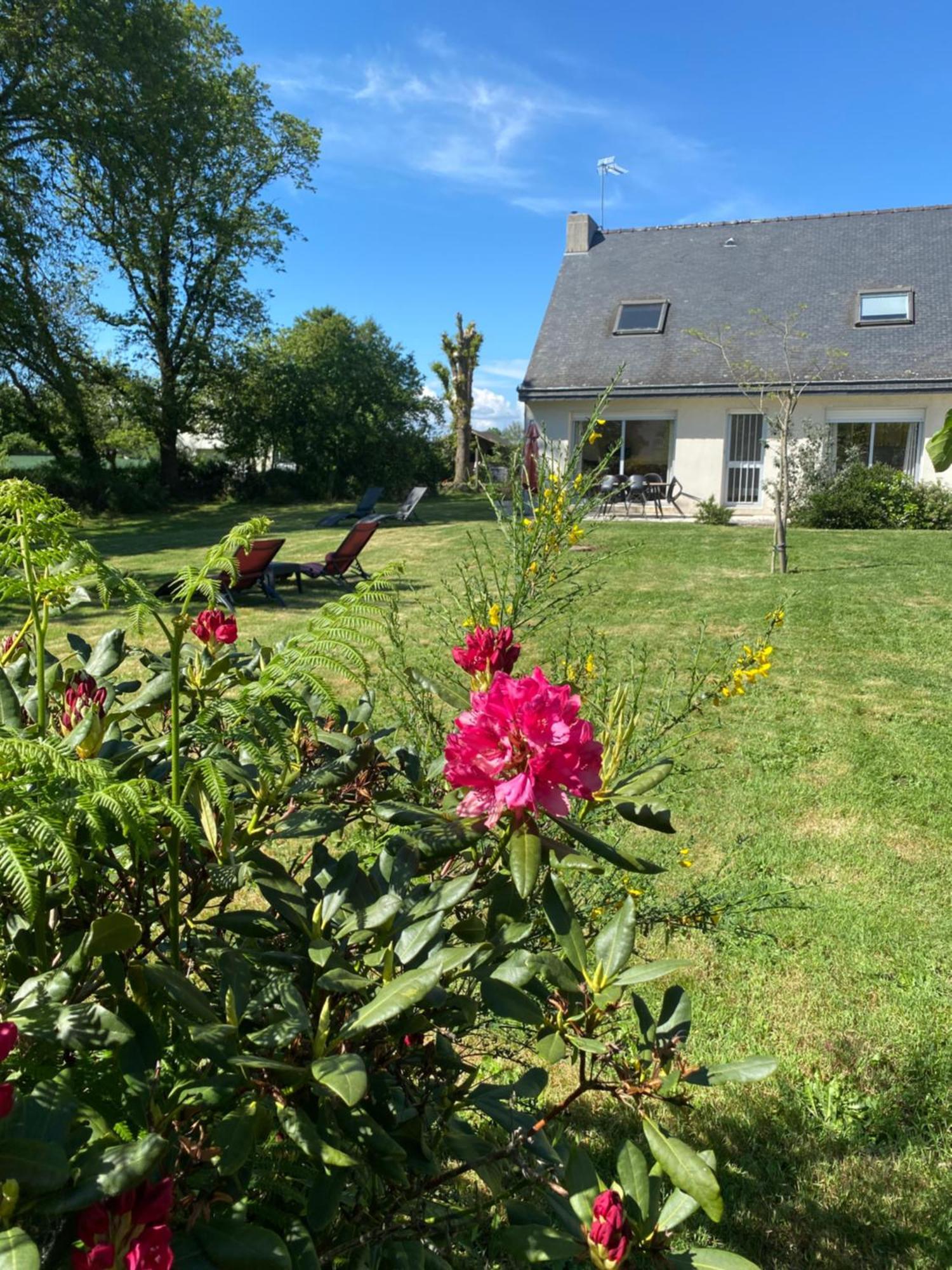 Villa Terre D'Ajoncs à Saint-Philibert  Extérieur photo